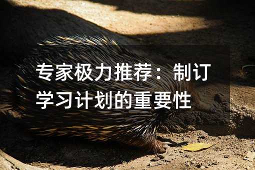 專家極力推薦:制訂學(xué)習(xí)計劃的重要性