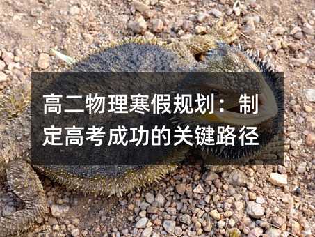高二物理寒假規劃:制定高考成功的關鍵路徑