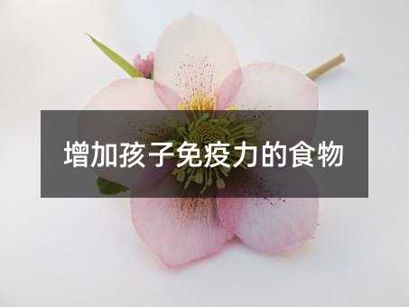 增加孩子免疫力的食物