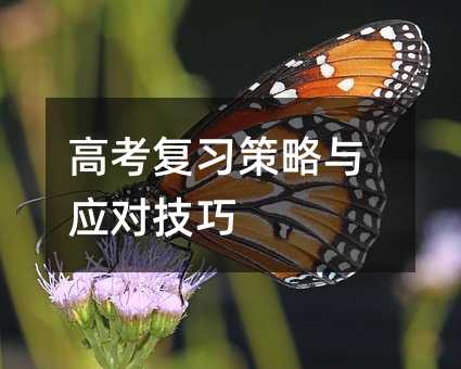 高考復習策略與應對技巧