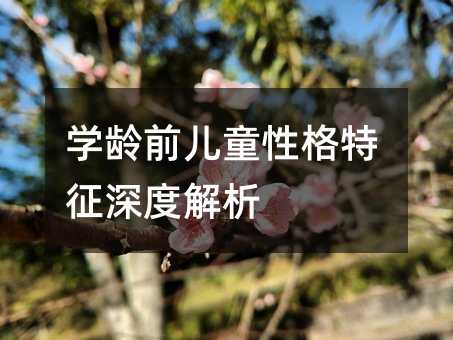 學齡前兒童性格特征深度解析