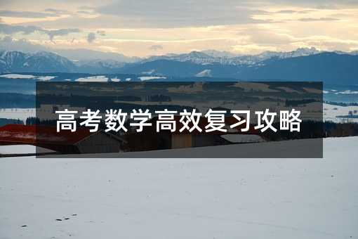 高考數學高效復習攻略