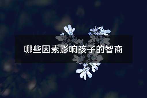 哪些因素影響孩子的智商