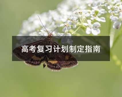 高考復習計劃制定指南
