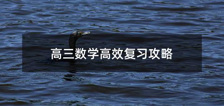高三數學高效復習攻略