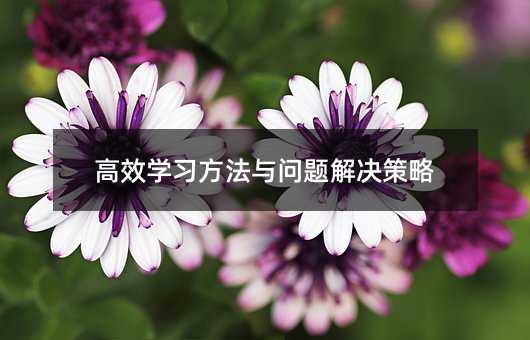 高效學(xué)習(xí)方法與問題解決策略