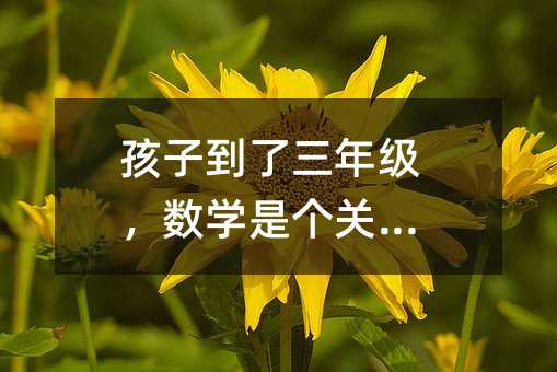 孩子到了三年級,數學是個關鍵點