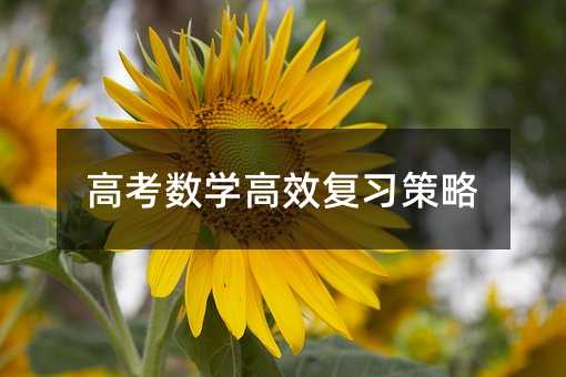 高考數學高效復習策略