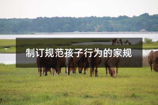 ��ӆҎ�������О�ļ�Ҏ