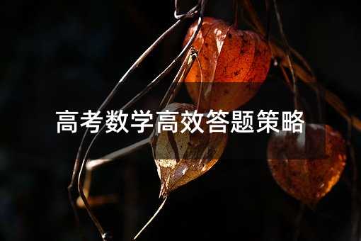 ߿(sh)W(xu)Ч}