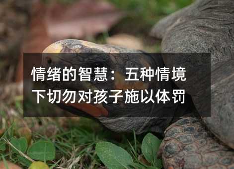 wǻۣN龳(du)ʩwP