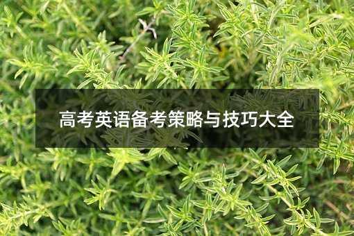 高考英語備考策略與技巧大全