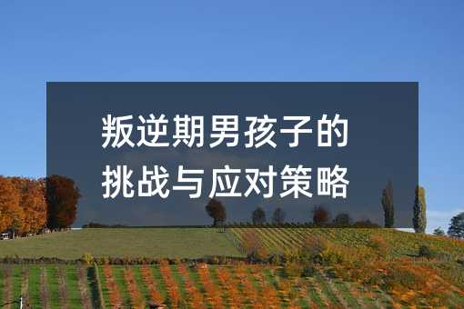 叛逆期男孩子的挑戰(zhàn)與應(yīng)對(duì)策略