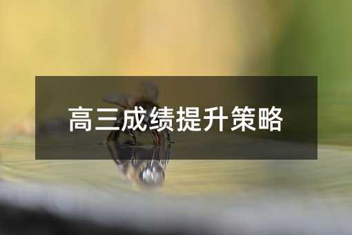 ɿ