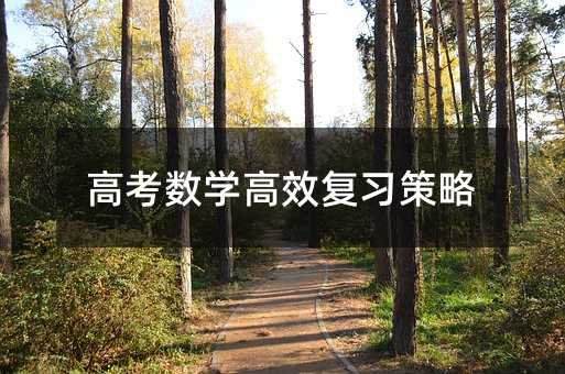 高考數學高效復習策略