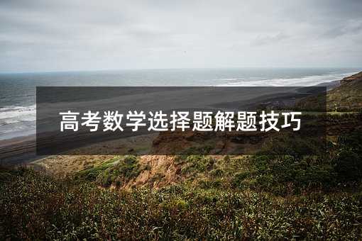 高考數(shù)學(xué)選擇題解題技巧