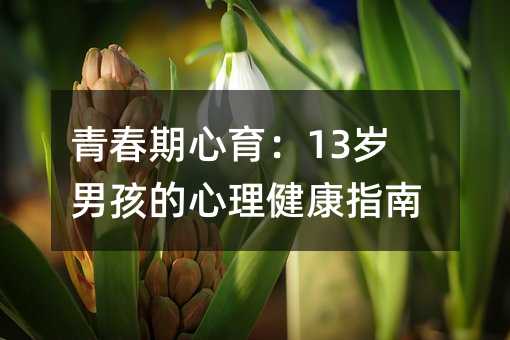 青春期心育:13歲男孩的心理健康指南