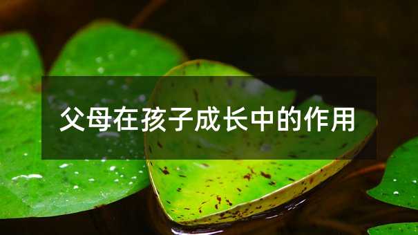 父母在孩子成長中的作用