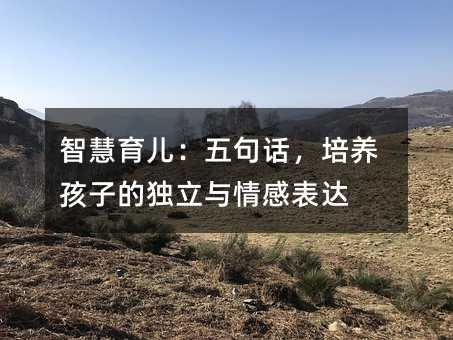智慧育兒:五句話,培養孩子的獨立與情感表達