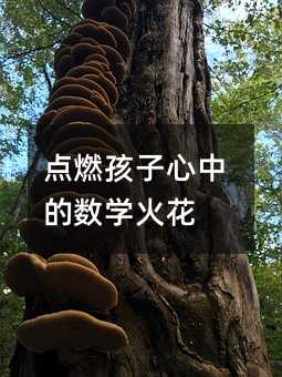 點燃孩子心中的數(shù)學火花
