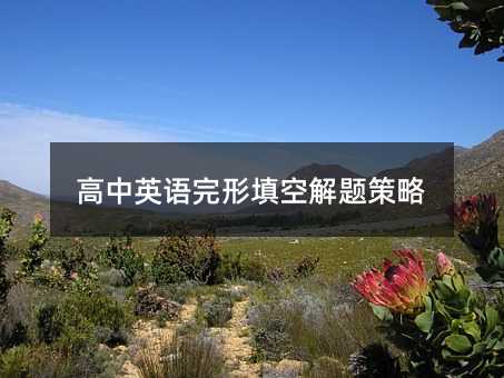 高中英語完形填空解題策略