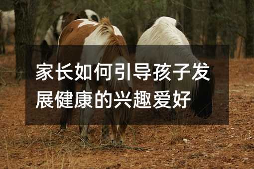 LӰlչdȤۺ