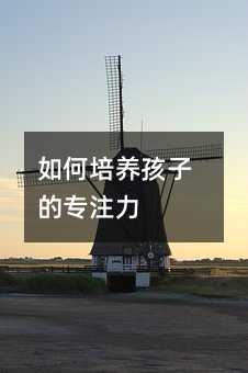 如何培養(yǎng)孩子的專注力