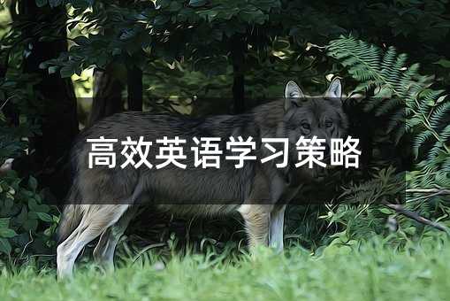 高效英語學習策略