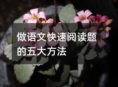 做語(yǔ)文快速閱讀題的五大方法