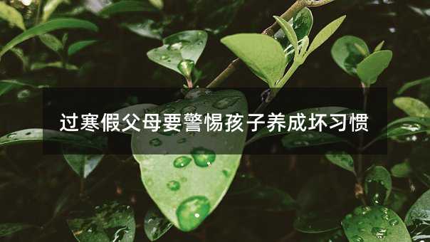 過(guò)寒假父母要警惕孩子養(yǎng)成壞習(xí)慣