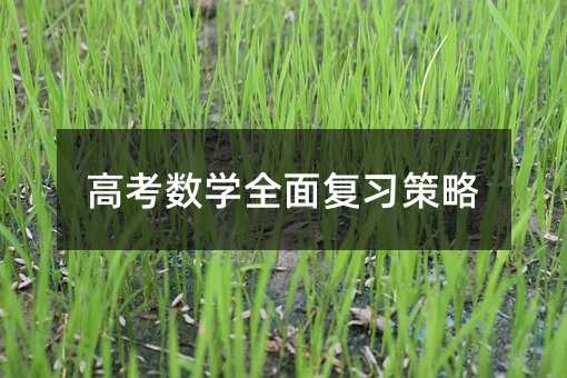 高考數學全面復習策略
