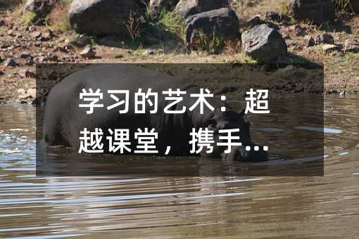 學習的藝術(shù):超越課堂,攜手老師