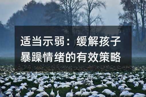 適當示弱:緩解孩子暴躁情緒的有效策略