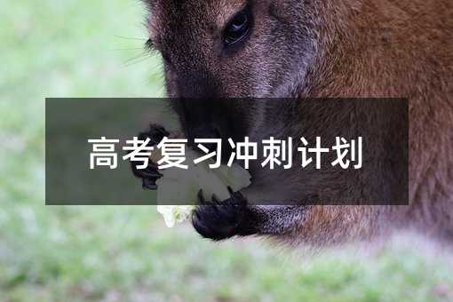 高考復習沖刺計劃