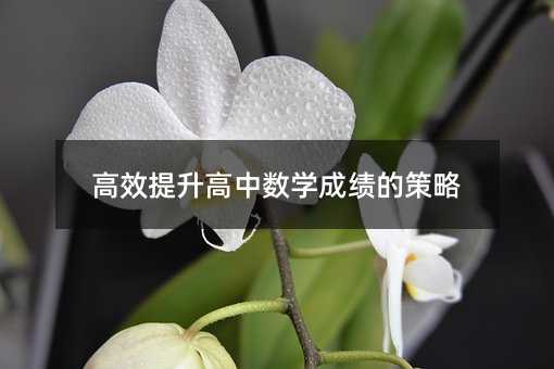 高效提升高中數(shù)學(xué)成績的策略