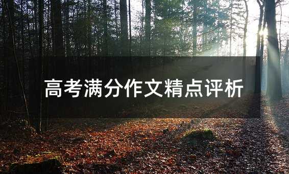 高考滿分作文精點評析