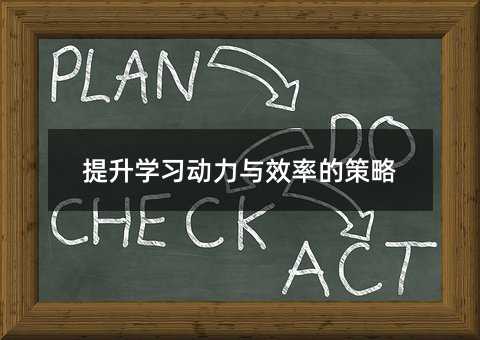 提升學(xué)習(xí)動力與效率的策略