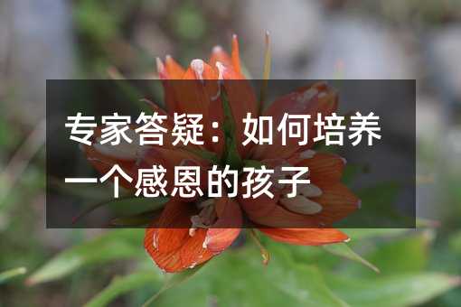 (zhun)ҴɣB(yng)һ(g)жĺ