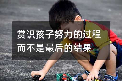賞識孩子努力的過程而不是最后的結果