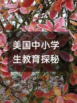 美國中小學(xué)生教育探秘