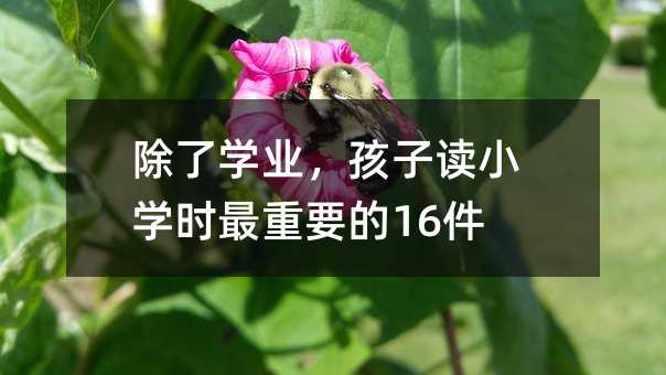除了學業,孩子讀小學時最重要的16件事