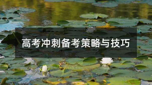 高考沖刺備考策略與技巧