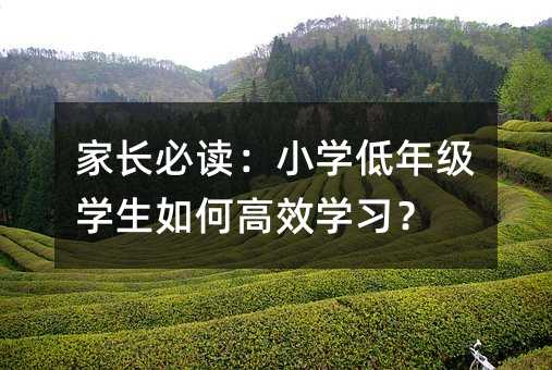 家長必讀:小學低年級學生如何高效學習?