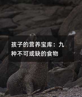ӵĠIB죺ŷNɻȱʳ