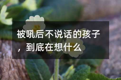 被吼后不說話的孩子,到底在想什么
