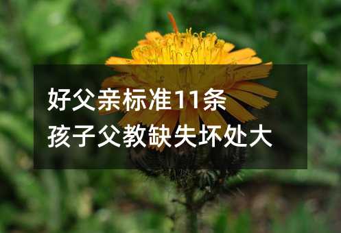好父親標(biāo)準(zhǔn)11條 孩子父教缺失壞處大