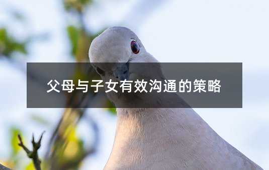 父母與子女有效溝通的策略