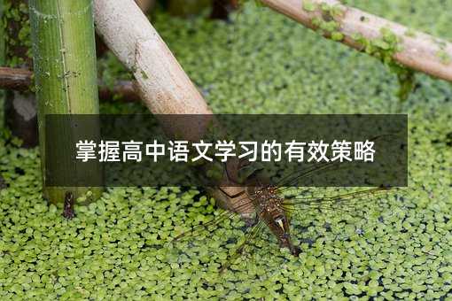 掌握高中語文學(xué)習(xí)的有效策略