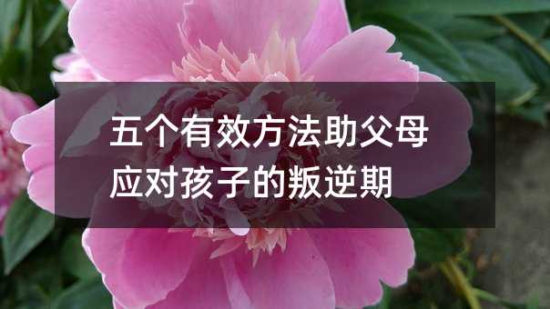傀Чĸӵ