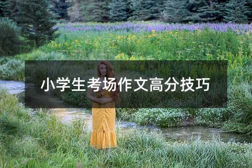 С�W���������ĸ߷ּ���